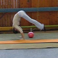 Akrobatická príprava, gymnastika